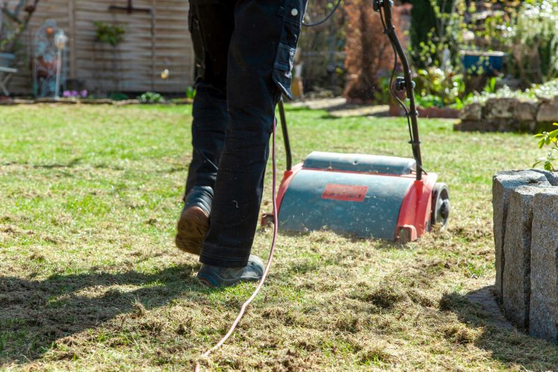 Lawn Aeration Service