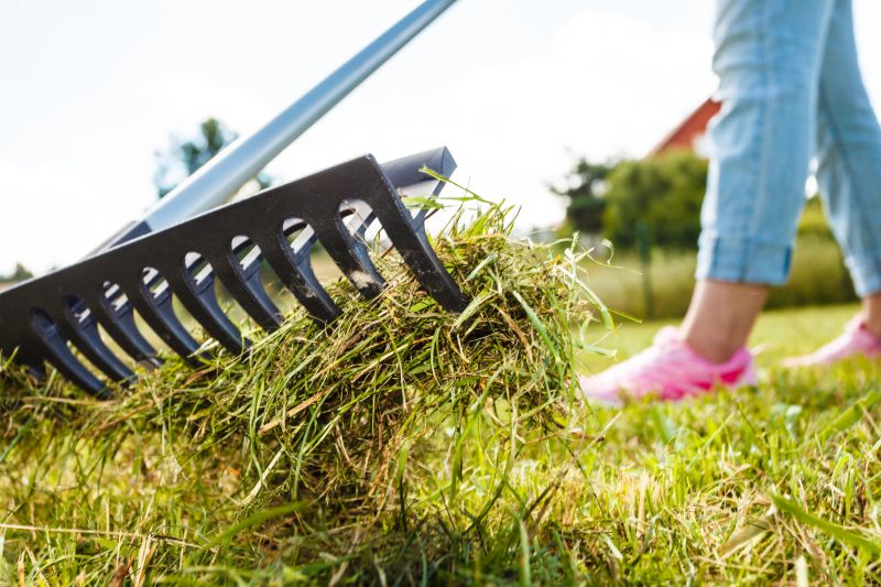 Power Raking