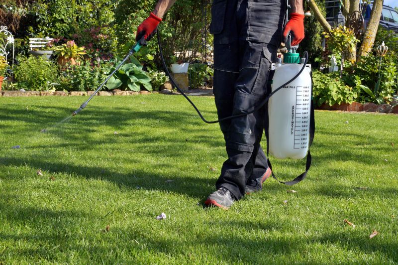 Weed Spraying in Rockwall, TX
